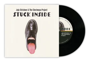 Stuck Inside - 7" Vinyl